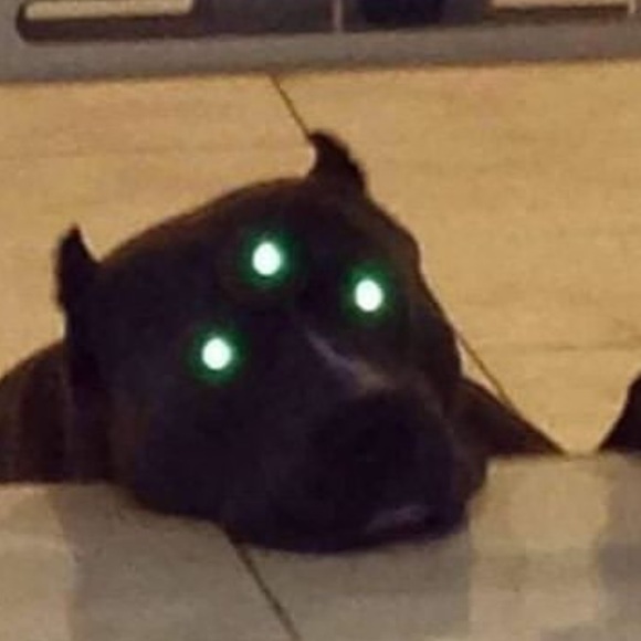 Meet your Posher, Jay - Picture 1 of 1